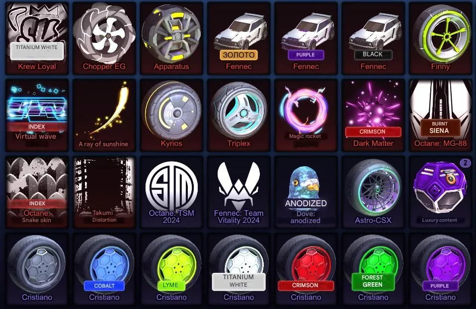 RL1017 GT3 RS Porsche, Dominus TW, 3x Fennec, Black Market, Cristiano, Titanium White, Interstellar, Lightspeed, Firegod + Full Inventory Level 270 